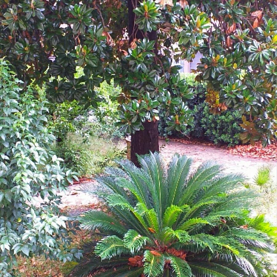 Apartament Un Giardino A Due Passi Dal Mare La Spezia Zewnętrze zdjęcie