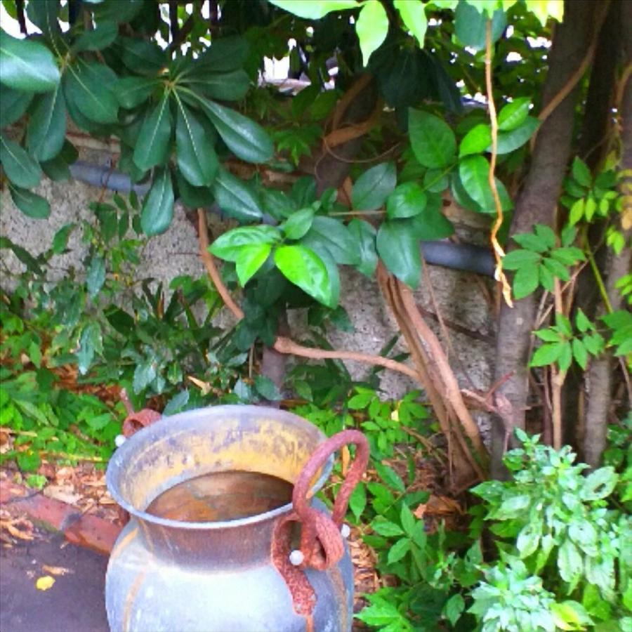 Apartament Un Giardino A Due Passi Dal Mare La Spezia Zewnętrze zdjęcie